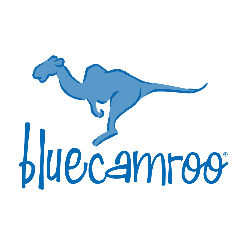 bluecamroo logo